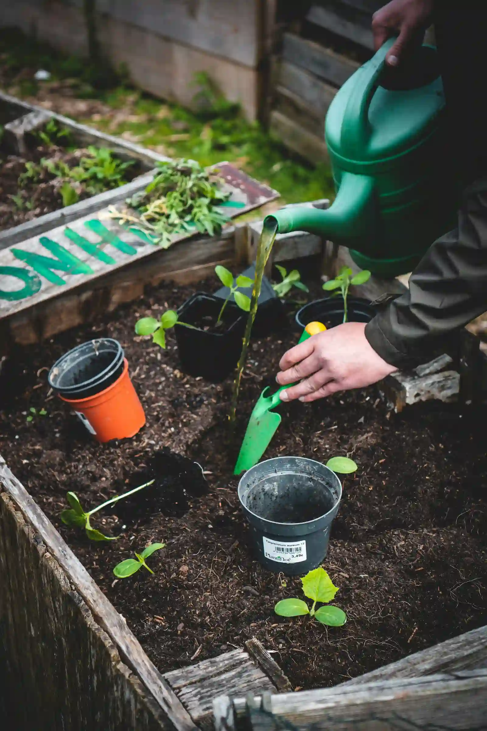 helpful hands planting and watering a community garden