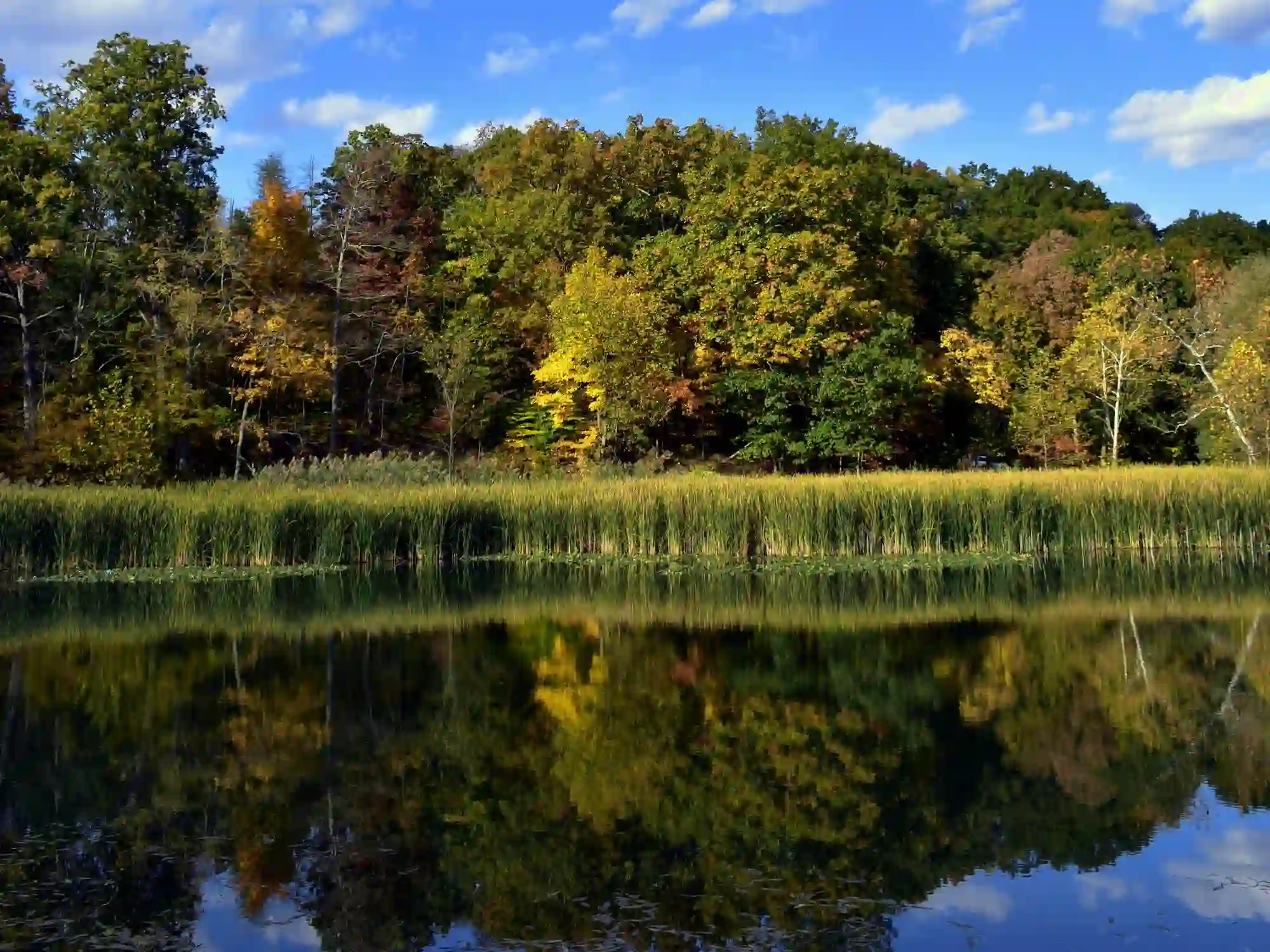 Scenic Cleveland Metroparks pond and trees